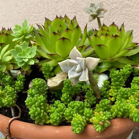 Anja&leon * Makarska