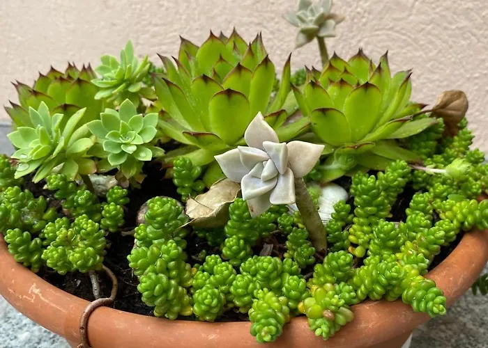 Anja&leon * Makarska